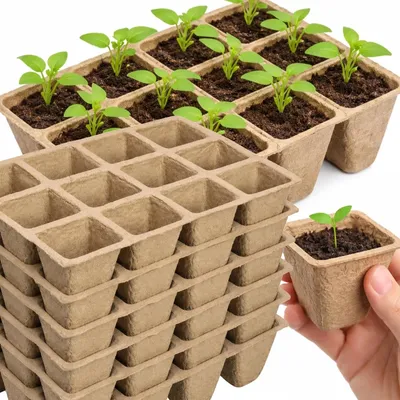 Produktbild von Anzuchttöpfe Torftöpfe Pflanztöpfe biologisch abbaubar 6er Set 16,5 x 12,5 cm für Aussaat Stecklinge und Setzlinge