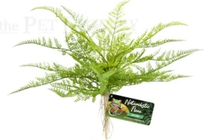 Obrázok produktu pre Čipka Fern
