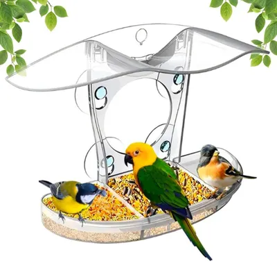 Image de Distributeur de graines pour oiseaux en acrylique avec ventouses