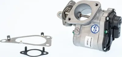 Produktbild von WAHLER 710938R AGR-Ventil mit Dichtungen für RENAULT SCÉNIC II (JM0/1) Abgasrückführungsventil