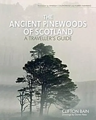 Produktbild von The Ancient Pinewoods of Scotland: A Traveller's Guide