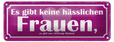 Produktbild von Blechschild Spruch 27x10cm es gibt keine hässlichen Frauen Dekoration