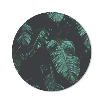 Produktbild von MuchoWow® Mauspad Mousepad Dschungel - Palme - Blätter - Tropisch 20x20 cm - Mousepads - Maus Mat - Pad - Mausunterlage - Schreibtischmatte