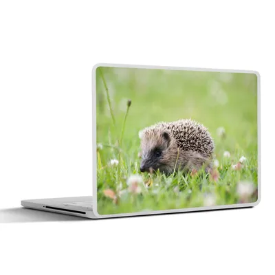 Produktbild von MuchoWow® Laptop Aufkleber Sticker Cover Kleiner Igel im Gras 30x21 cm - Sticker für Laptop - Selbstklebend