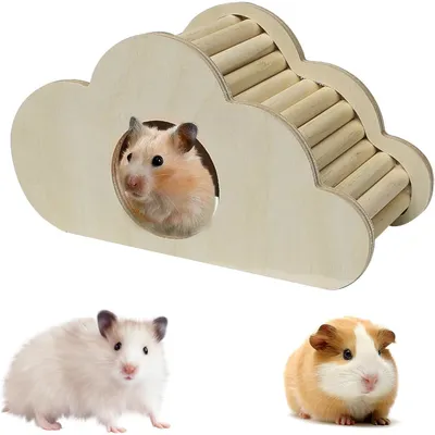 Produktbild von Hamsterwolkenhaus, Hamsterunterschlupf aus Holz, sicher und umweltfreundlich, glatt und gratfrei, für alle Jahreszeiten geeignet