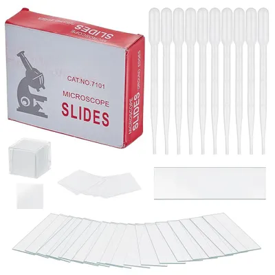 150 Mikroskop-Objektträger & Deckgläser mit Pipetten, Glas