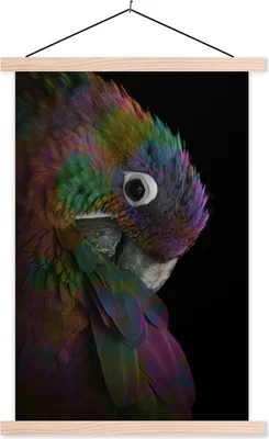 Produktbild von MuchoWow® Textilposter Papagei - Vogel - Regenbogen 120x180 cm mit holzfarbenen Rahmen - Textil-Plakat