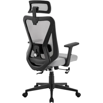Produktbild von Yaheetech Bürostuhl Ergonomisch, Schreibtischstuhl mit Verstellbarer Kopfstütze, Armlehnen, Lendenwirbelstütze, Höhenverstellbar, Chefsessel aus Mesh, Drehstuhl Wippfunktion, Rückenschonend Hellgrau