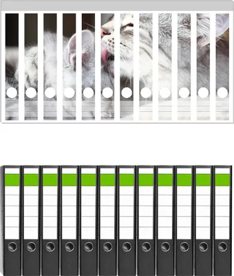 Produktbild von Wallario 12 Stück schmale Ordner inkl. Klebeetiketten mit Motive Süße kleine getigerte Katzenbabys -  Set mit Rückenschildern / Ordnerrücken Stickern