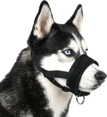 Produktbild von Hundemaulkorb Nylon weich, verstellbar, für kleine Hunde, Maulkorb für die Sicherheit