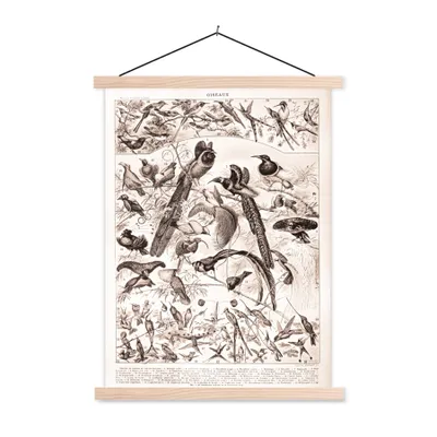 Produktbild von MuchoWow® Textilposter Vogel - Natur - Schwarz - Weiß 60x80 cm mit holzfarbenen Rahmen - Wandbild