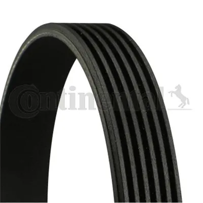 Produktbild von Contitech Keilrippenriemen  6Pk730