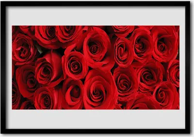 Produktbild von Bild 70x50 MDF-Rahmen Wandkunst Rosen Blumen