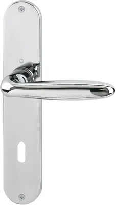A single door handle set on a white background.