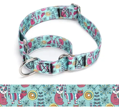 Produktbild von Martingale Hundehalsband Nylon L: 45-53 cm verstellbar A85NO15