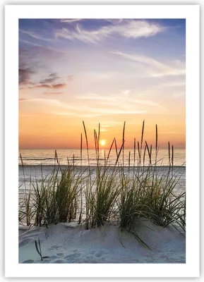Produktbild von Poster - Poster ohne Rahmen - Westen Sonne Strand - 50x70 cm - Wand Bild - Wanddeko - Wandbilder - Kunstposter - Wandposter - Bilder - Kunstdruck - Wanddekoration - Wandbild - P2XPA50x70-4201