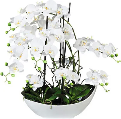 Obrázek produktu pro Umělá květina orchidej phalaenopsis aranžmá 68 cm bílá v bílé keramické misce 45 x 25 cm Real Touch