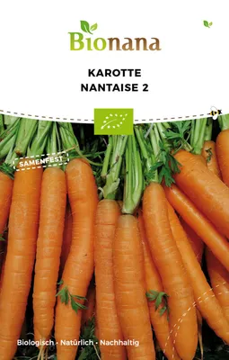 Produktbild von Gemüsesamen Karotte 'Nantaise 2'