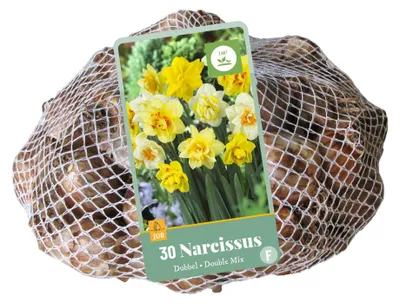 Artikelbild 2 von 'Narzisse Double Mix (30 Stück)' aus der Kategorie Narzissenzwiebeln