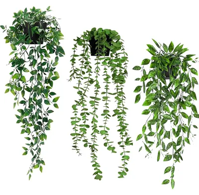 Produktbild von 3 künstliche Hängepflanzen, künstliche Pflanzen, Hängepflanzen mit Töpfen, künstliche Kletterpflanzen aus Kunststoff, künstliche Pflanzen für Balkon, Büro, Garten, Party, Wanddekoration
