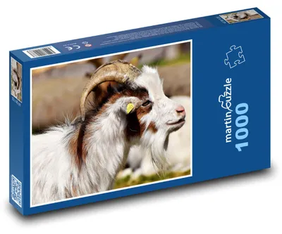 Produktbild von Puzzle 1000 Ziege auf dem Bauernhof - martinpuzzle