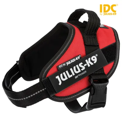 Produktbild von Julius-K9® IDC Powergeschirr®, S / Mini: 49–67 cm / 28 mm, rot