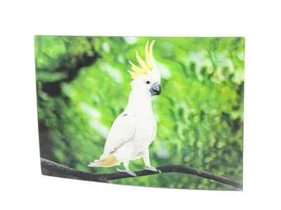 Produktbild von 3 D Ansichtskarte Kakadu, Postkarte Wackelkarte Hologrammkarte Tiere Tier Papagei Vogel