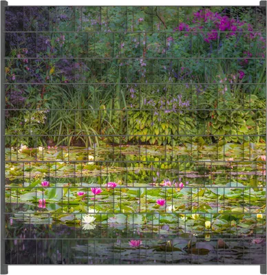Produktbild von Wallario Zaunsichtschutz mit Motiv Blühender Seerosenteppich für Ein- und Doppelstabmatten Zäune in der Größe 200 x 200 cm
