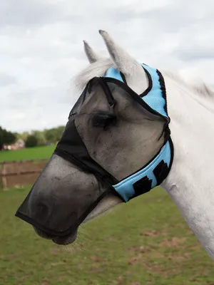 Produktbild von Busse Fliegenmaske FLY COVER PRO GAP, Farbe:hellblau/schwarz, Größe:Warmblut