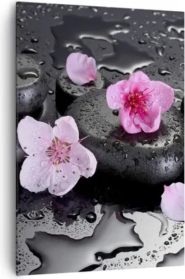 Produktbild von Bild auf Leinwand - Leinwandbild - Einteilig - Blumen Steine Tropfen Spa - 70x100cm - Wand Bild - Wanddeko - Wandbilder - Leinwanddruck - Wanddekoration - Leinwand bilder - Wandbild - PA70x100-2714
