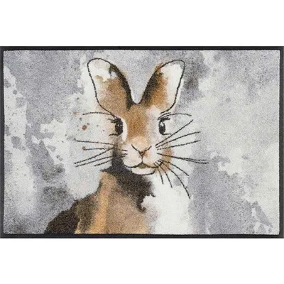 Produktbild von wash+dry Schmutzfangmatte Hopps - 50 x 75 cm
