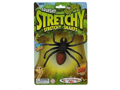 Image de Spider 533325