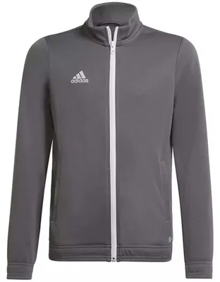 Imagen del producto de Chaqueta deportiva Adidas Entrada 22 "Team Grey Four" para Niños