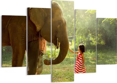 Produktbild von Bild auf Leinwand - Leinwandbild - Elefant Tier - 150x100cm - Wand Bild - Wanddeko - Wandbilder - Leinwanddruck - Bilder - Kunstdruck - Wanddekoration - Leinwand bilder - Wandkunst - EA150x100-3884