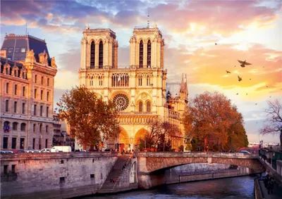 Produktbild von Roovi - Puzzle Notre Dame Paris, France - 500 dielov