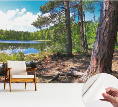Produktbild von Fototapete selbstklebend - 312x219 cm - Tapete - Wandtapete - Wandbilder - Klebefolie - Dekofolie - Tapete Folie - Wand - Dekoration - Wohnzimmer - Waldlandschaft