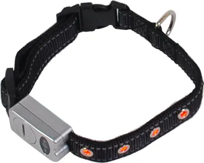 Produktbild von LED Sicherheits-Hundehalsband Blinklicht Reflektionsstreifen 40-46cm Leuchtband
