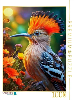 Produktbild von CALVENDO Puzzle Wiedehopf | 1000 Teile Lege-Größe 64x48cm Foto-Puzzle für glückliche Stunden