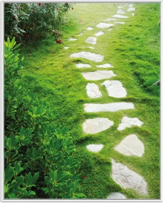Produktbild von Wallario Wandbild Steinweg im Grünen, Größe: 40,30 x 50,30 cm, Poster mit weißem Aluminiumrahmen