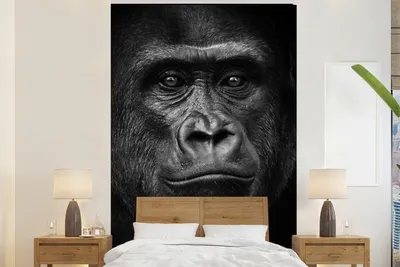 Produktbild von MuchoWow® Fototapete für Wohnzimmer oder Schlafzimmer Wandtapete Vinyl Motivtapete Gorilla - Schwarz - Weiß - Tiere - Porträt - 225x350 cm - Schlafzimmer tapete