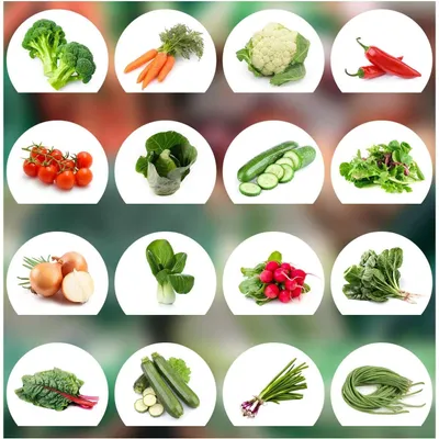 Image de Graines de légumes assortiment de 16 variétés - Concombre, brocoli, carotte, tomate - Semences de qualité du Portugal