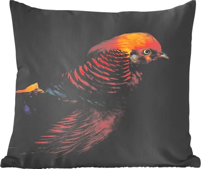 Produktbild von MuchoWow® Zierkissen Sofakissen Wohnzimmer Dekokissen 50x50 cm Vogel - Federn - Schwarz - Porträt - Komfort - Sofakissen