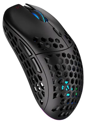 Produktbild von ENDORFY LIX, Beidhändig, Optisch, RF Wireless + USB Type-C, 16000 DPI, Schwarz