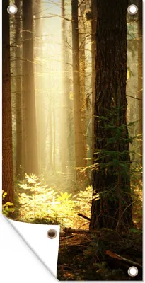 Produktbild von MuchoWow® 80x160 cm Outdoor-Poster Gartendeko Sichtschutz Garten Poster für den Garten  Wald - Bäume - Sonne