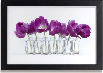 Produktbild von Bild 30x20 MDF-Rahmen Wandkunst Blumen Pflanzen Natur