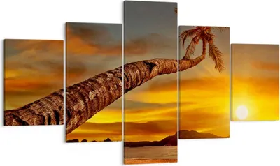Produktbild von Bild auf Leinwand - Leinwandbild - Palme Landschaft Sonne - 125x70cm - Wand Bild - Wanddeko - Leinwanddruck - Bilder - Kunstdruck - Wanddekoration - Leinwand bilder - Wandkunst - EA125x70-0162
