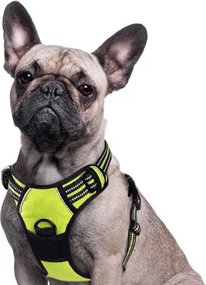 Produktbild von Famanu Hundegeschirr – Verstellbar und Sicher – Schwarz
