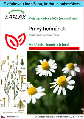 Obrázek produktu pro SAFLAX Dárková sada - Pravý heřmánek - Matricaria chamomilla - 300 Semena - S dárkovou krabičkou, přepravním štítkem, dárkovou kartou a pěstebním médiem