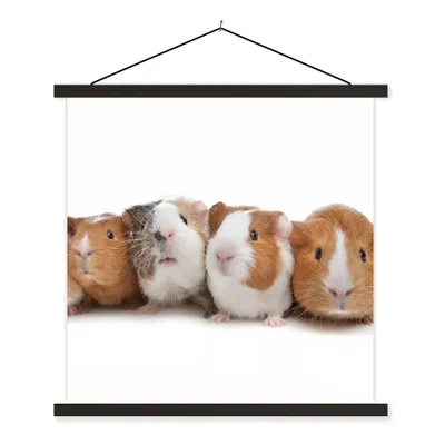Produktbild von MuchoWow® Textilposter Fünf Meerschweinchen in einer Reihe 90x90 cm mit schwarzem Rahmen - Magnetisches