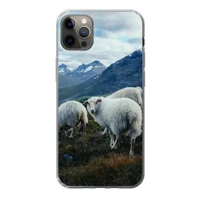 Produktbild von MuchoWow® Handyhülle Schutzhülle Hülle für iPhone 12 Pro Max Schafe - Natur - Berge Silikon Softcase Handy Hülle - Hartschale